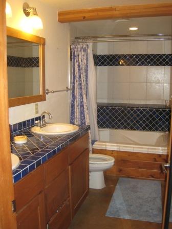 Apt C Bath1